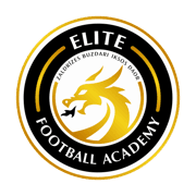 Elite Dragon Academy